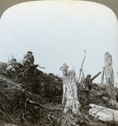 Trones Wood