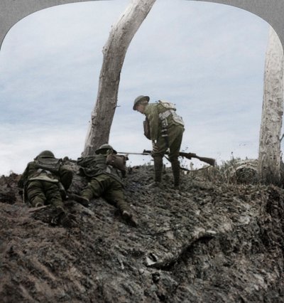 Polygon Wood Savaşı, Ypres yakınlarında, Flanders, Belçika, I. Dünya Savaşı, Eylül 1917 by Realistic Travels Publishers