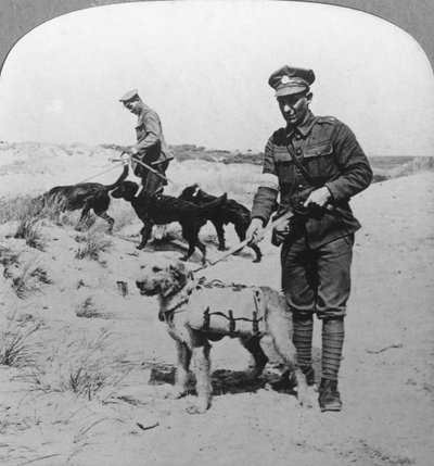 İlk yardım köpekleri, I. Dünya Savaşı, c1914-c1918 by Realistic Travels Publishers