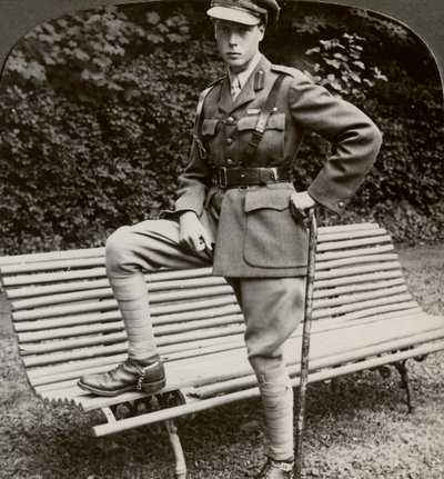 Galler Prensi askeri üniformalı, Fransa, I. Dünya Savaşı, 1914-1918. by Realistic Travels Publishers