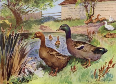 My Farm için İllüstrasyon (renkli lito) by Reginald Mills