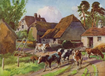 My Farm için İllüstrasyon (renkli lito) by Reginald Mills