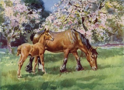 My Farm için İllüstrasyon (renkli lito) by Reginald Mills