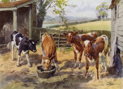 My Farm için İllüstrasyon (renkli lito) by Reginald Mills