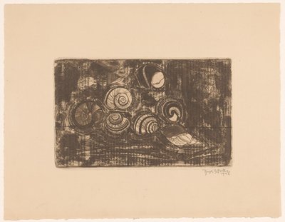 Yedi kabuk by Reijer Stolk (signed by artist)