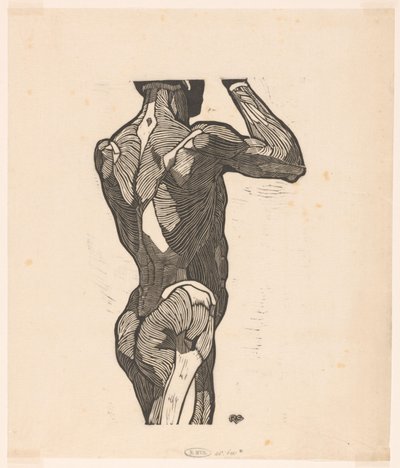 Bir erkeğin sırt ve kalçalarının anatomik çalışması by Reijer Stolk