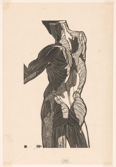 Bir erkeğin sırtı ve kalçalarının anatomik çalışması by Reijer Stolk