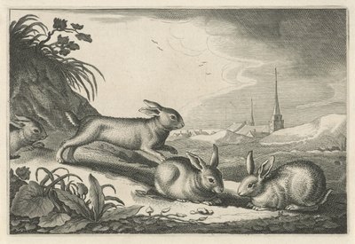 Tavşanlar ile kumul manzara Diversa Animalia Quadrupedia (seri başlığı) by Reinier van Persijn