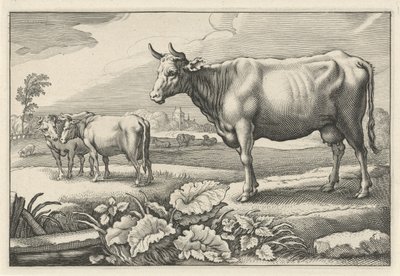 İnekler ile mera Diversa Animalia Quadrupedia (seri başlığı) by Reinier van Persijn