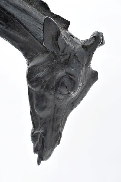 Başı Alçaltılmış Büyük Zürafa, 1909-10 modellenmiştir, 1913