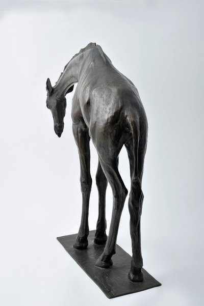 Başı Alçaltılmış Büyük Zürafa, 1909-10 modellenmiştir, 1913