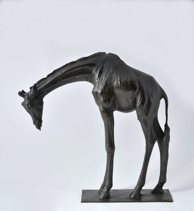 Başı Alçaltılmış Büyük Zürafa, 1909-10 modellenmiştir, 1913