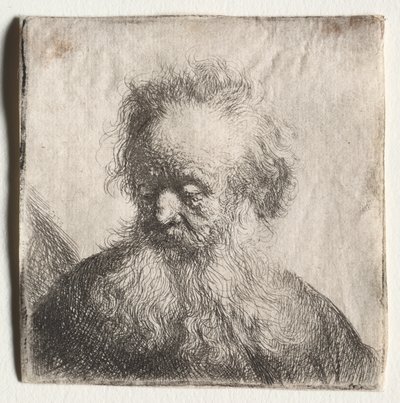Akan Sakallı Yaşlı Adam: Büst by Rembrandt Harmensz. van Rijn