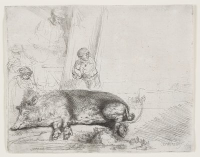 Domuz by Rembrandt van Rijn