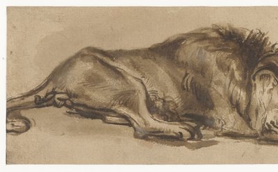 Uyuyan Aslan Çalışması by Rembrandt van Rijn (copy after)