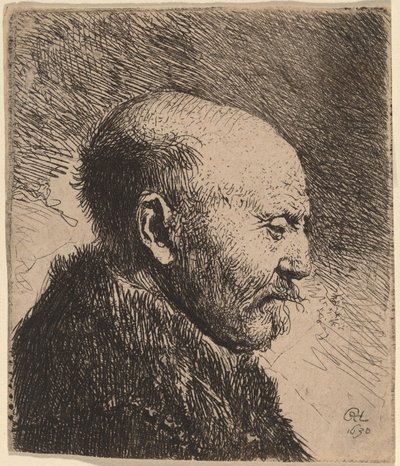 Profildeki Kel Adam (Sanatçının Babası?) by Rembrandt van Rijn