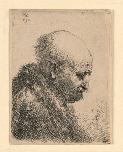 Profildeki Kel Kafalı Adam Sağ: Küçük Göğüs; Sanatçının Babası? by Rembrandt van Rijn