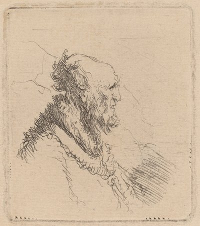 Profilde Kısa Sakallı Kel Yaşlı Adam by Rembrandt van Rijn
