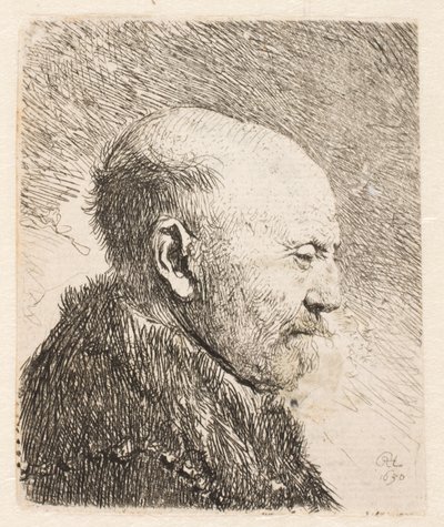 Profildeki kel adam (Rembrandt