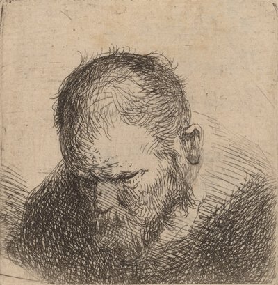 Sakallı Adam Aşağıya Bakıyor, muhtemelen 1631. by Rembrandt van Rijn