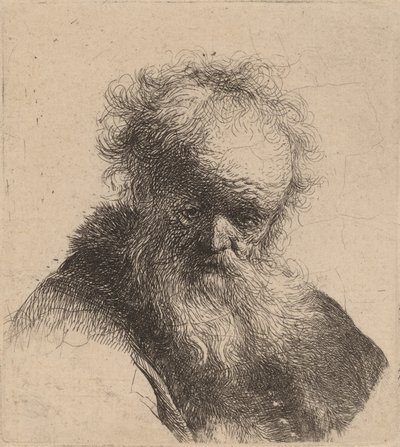 Dalgalı Sakallı ve Beyaz Kollu Yaşlı Adam Büstü, c. 1630. by Rembrandt van Rijn
