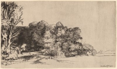 Bir Vista ile Ağaç Kümesi by Rembrandt van Rijn