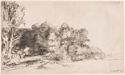 Bir Vista ile Ağaç Kümesi by Rembrandt van Rijn