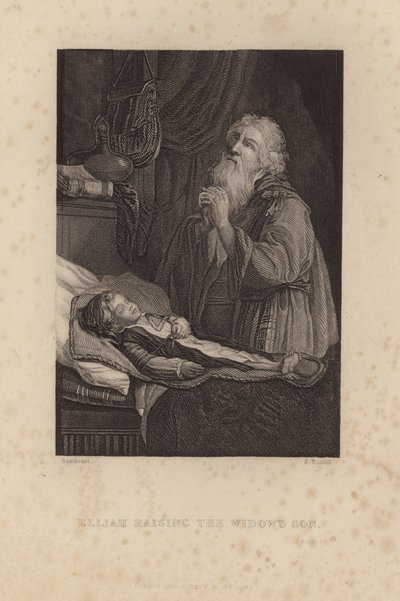 İlyas Dul Kadının Oğlunu Yetiştiriyor by Rembrandt van Rijn