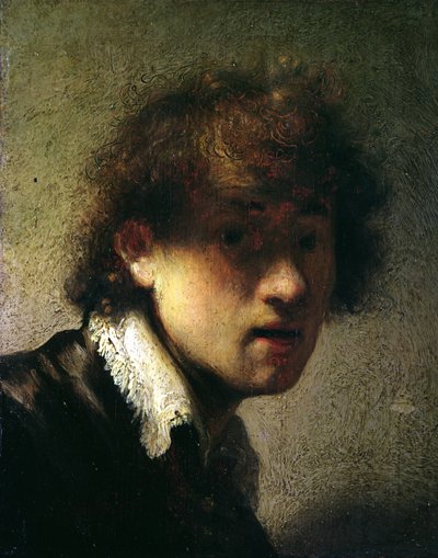 Bir Genç Adamın Başı veya Kendi Portresi, 1629 by Rembrandt van Rijn