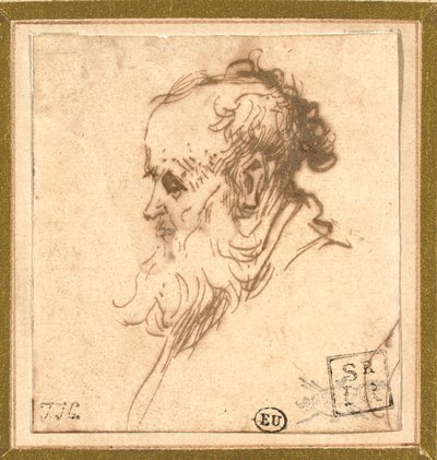 Soldaki profilde sakallı bir adamın başı by Rembrandt van Rijn