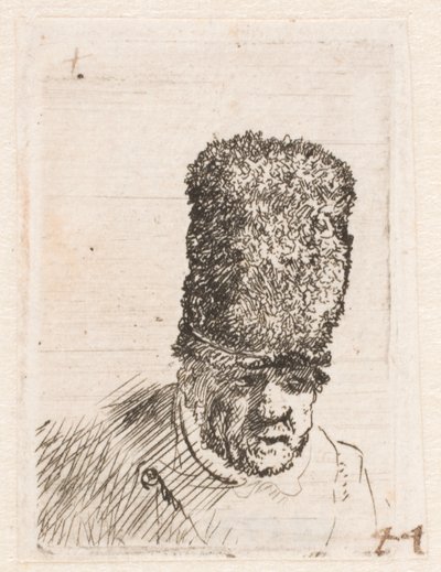 Yüksek kürk şapkalı yaşlı bir adamın başı by Rembrandt van Rijn