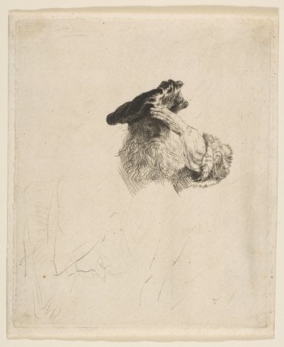 Yaşlı Adam Eliyle Gözlerini Gölgeliyor, yakl. 1639. by Rembrandt van Rijn