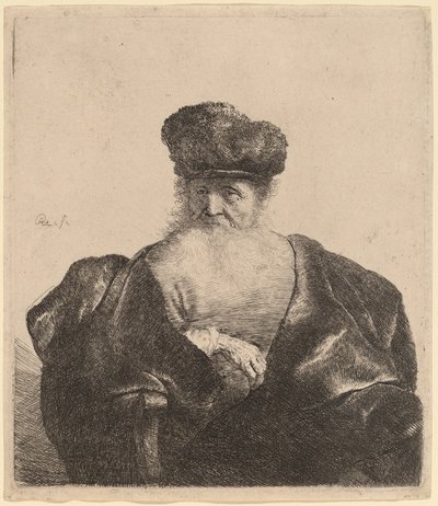 Sakallı, Kürk Şapkalı ve Kadife Pelerinli Yaşlı Adam by Rembrandt van Rijn
