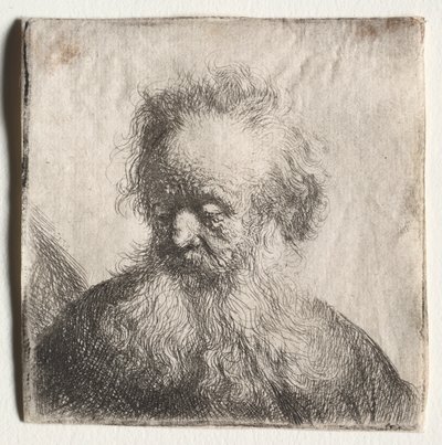 Akan Sakallı Yaşlı Adam: Büst, 1631. by Rembrandt van Rijn