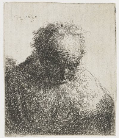 Akan Sakallı Yaşlı Adam, Sol Omuz Gölgesiz Yaşlı bir adamın Büstü Dökülen sakallı: baş öne eğik: sol omuz gölgesiz by Rembrandt van Rijn
