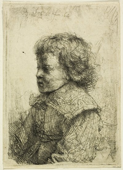 Bir çocuğun portresi by Rembrandt van Rijn