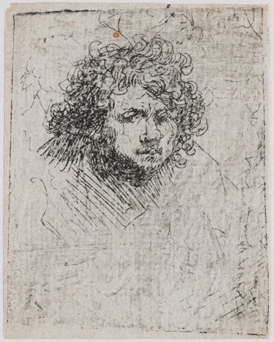 Otoportre, yaklaşık 1626-1629. by Rembrandt van Rijn