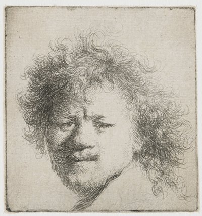 Uzun gür saçlı otoportre: sadece kafa by Rembrandt van Rijn