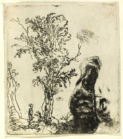 İki Etütlü Levha: Bir Ağaç ve Kadife Şapkalı Sanatçının Başının Üst Kısmı by Rembrandt van Rijn