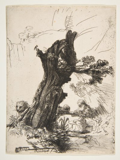 St. Jerome, Pollard Willow