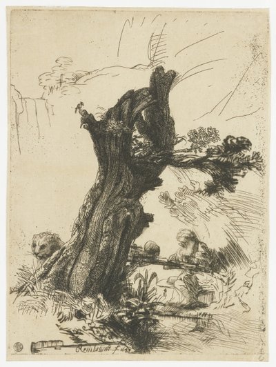 St Jerome bir pollard söğütünün yanında by Rembrandt van Rijn