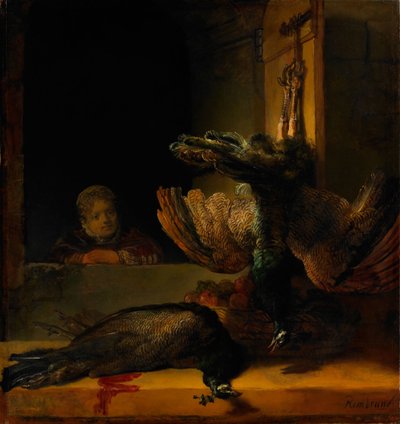 İki Tavus Kuşu ve Bir Kızla Natürmort, 1639 by Rembrandt van Rijn