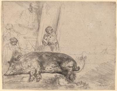 Domuz by Rembrandt van Rijn