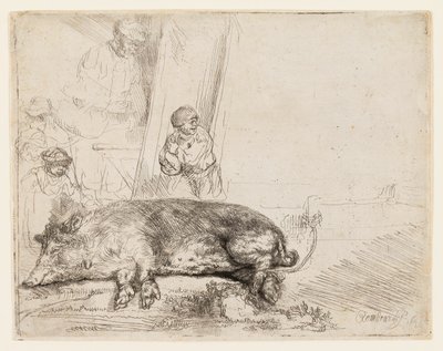 Domuz by Rembrandt van Rijn