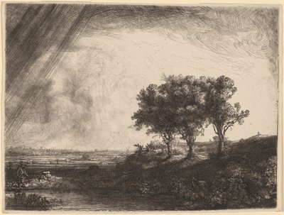 Üç Ağaç by Rembrandt van Rijn