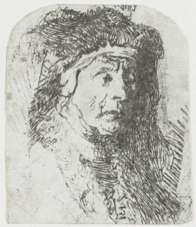 Kürklü Pelerinli Kadın Kürklü pelerinli ve ağır başlıklı yaşlı bir kadının büstü by Rembrandt van Rijn
