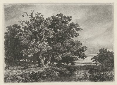 Bir tekne ile bir su birikintisi, ağaçlar by Remigius Adrianus Haanen