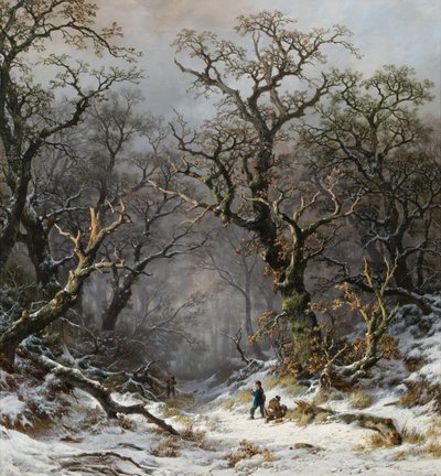  by Remigius Adrianus Haanen