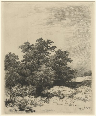 Ağaçlar ile manzara by Remigius Adrianus Haanen
