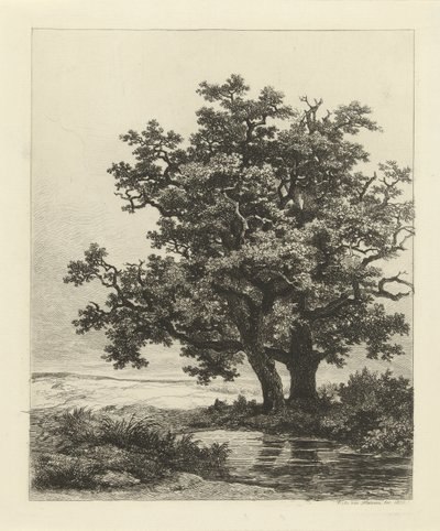Bir göl üzerinde iki meşe by Remigius Adrianus Haanen